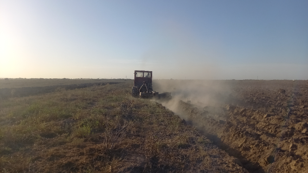 Ер шудигорлаш ва култивация